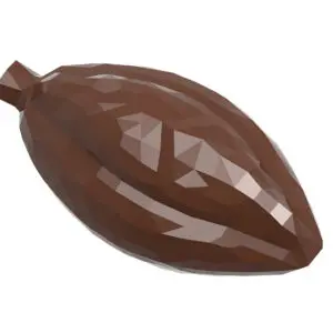 Fêve de cacao facette