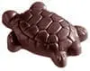 Tortue