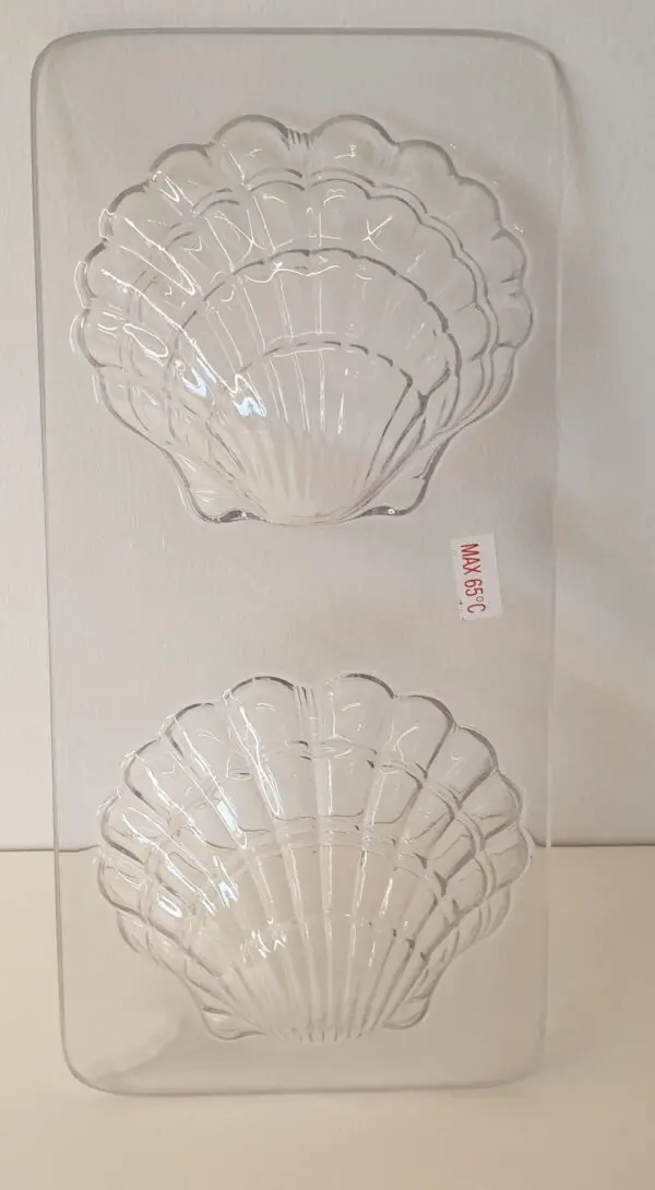 Coquille double, 95 mm - image 1