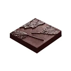 Feuille de cacao