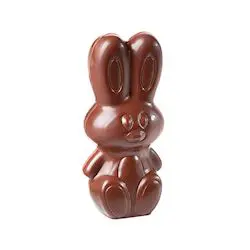 Lapin moderne