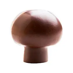 Champignon