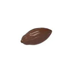 Mini fève de cacao