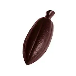 Fève de cacao