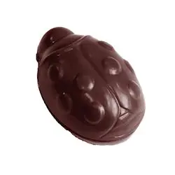 Coccinelle