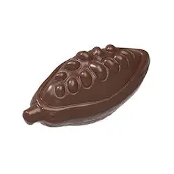 Fève de cacao ouverte