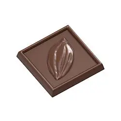 Caraque fève de cacao
