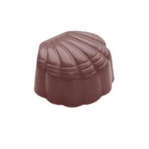 Coquille petite