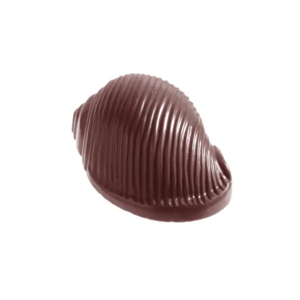Schelp - afbeelding 1