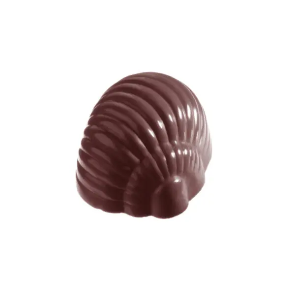 Coquille - image 1