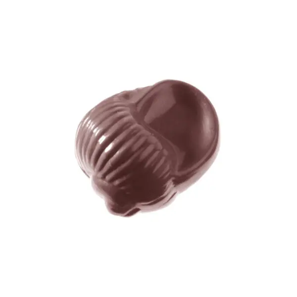 Escargot - image 1
