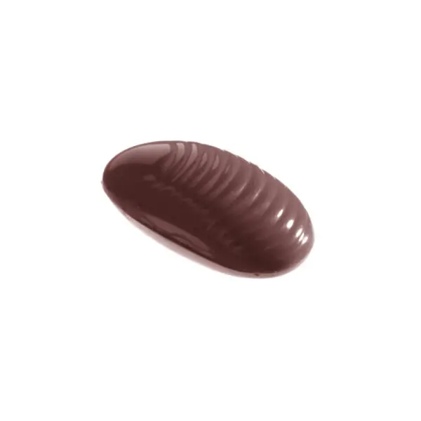 Muschelschale – Bild 1