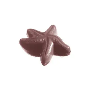 Étoile de mer