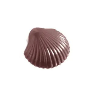 Petite coquille