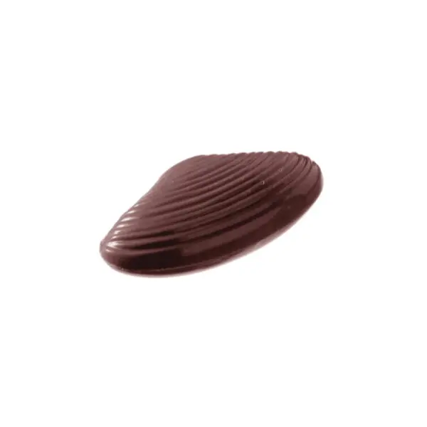 Petite moule - image 1