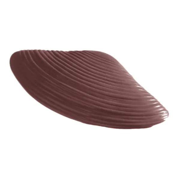 Grande coquille - image 1