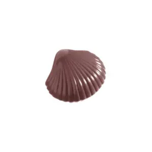 Coquille