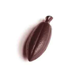 Fève de cacao