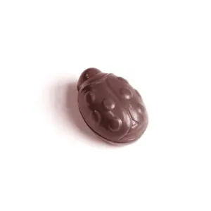 Coccinelle