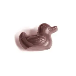 Canard
