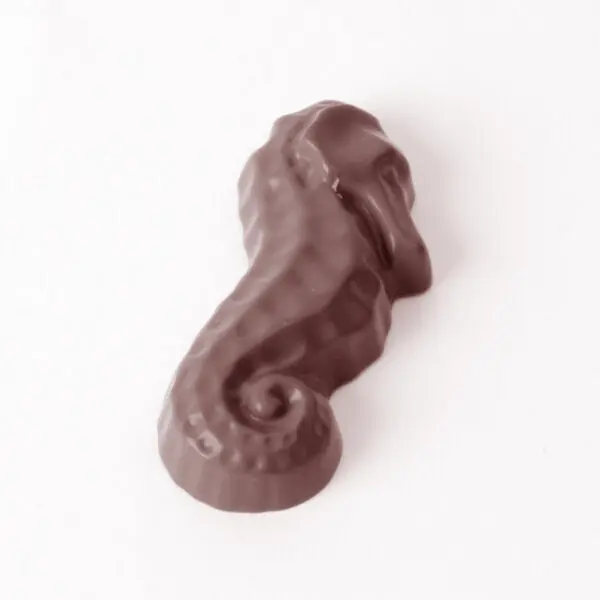 Hippocampe - image 1