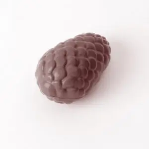 Pomme de pin