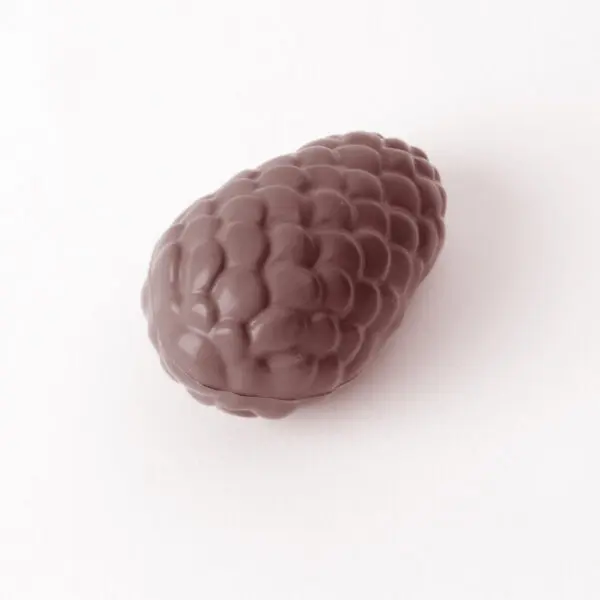 Pomme de pin - image 1
