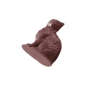 Chat assis