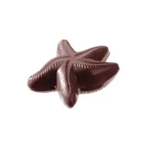 Étoile de mer