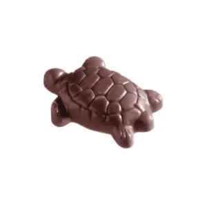 Tortue