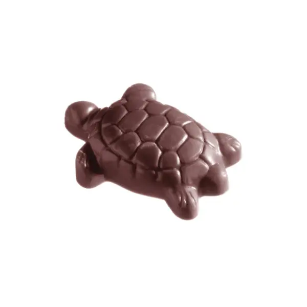 Turtle - image 1