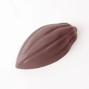 Fève de cacao