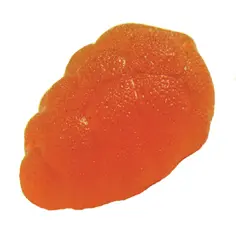 Raisin