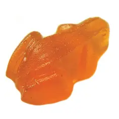 Kikker