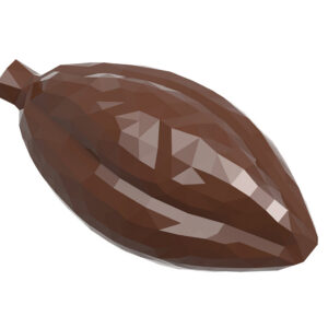 Fêve de cacao facette