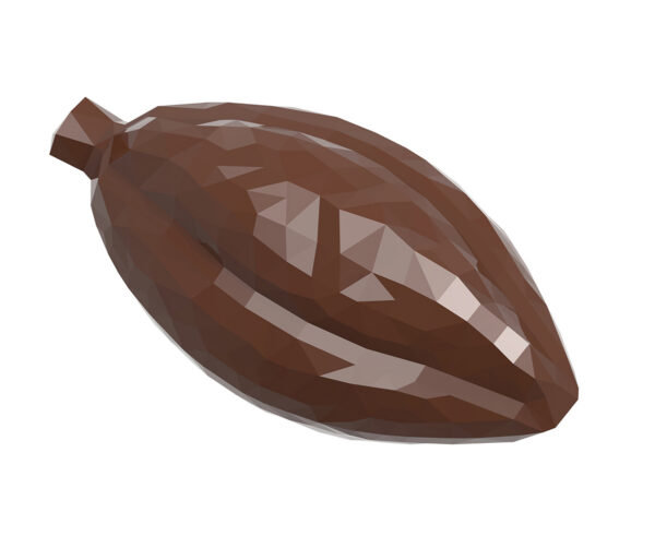 Fêve de cacao facette - image 1