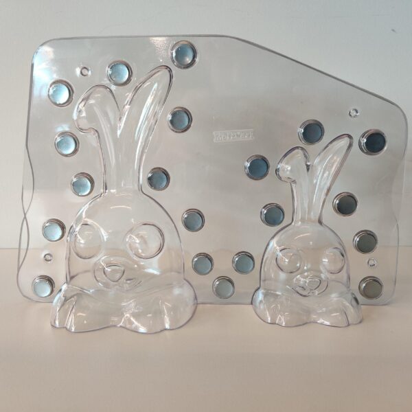 Lapin avec 2 different formes - image 1