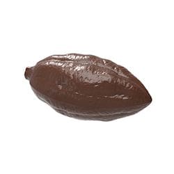 Fève de cacao